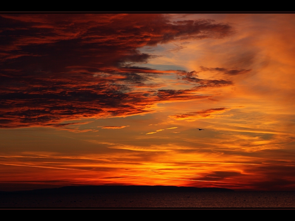 ... Felsenhimmel ... / ... le ciel de la roche ...