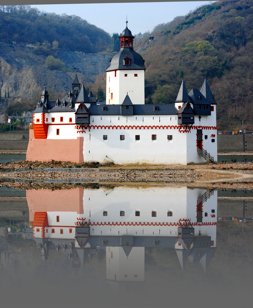 Felseninsel im Rhein