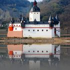 Felseninsel im Rhein