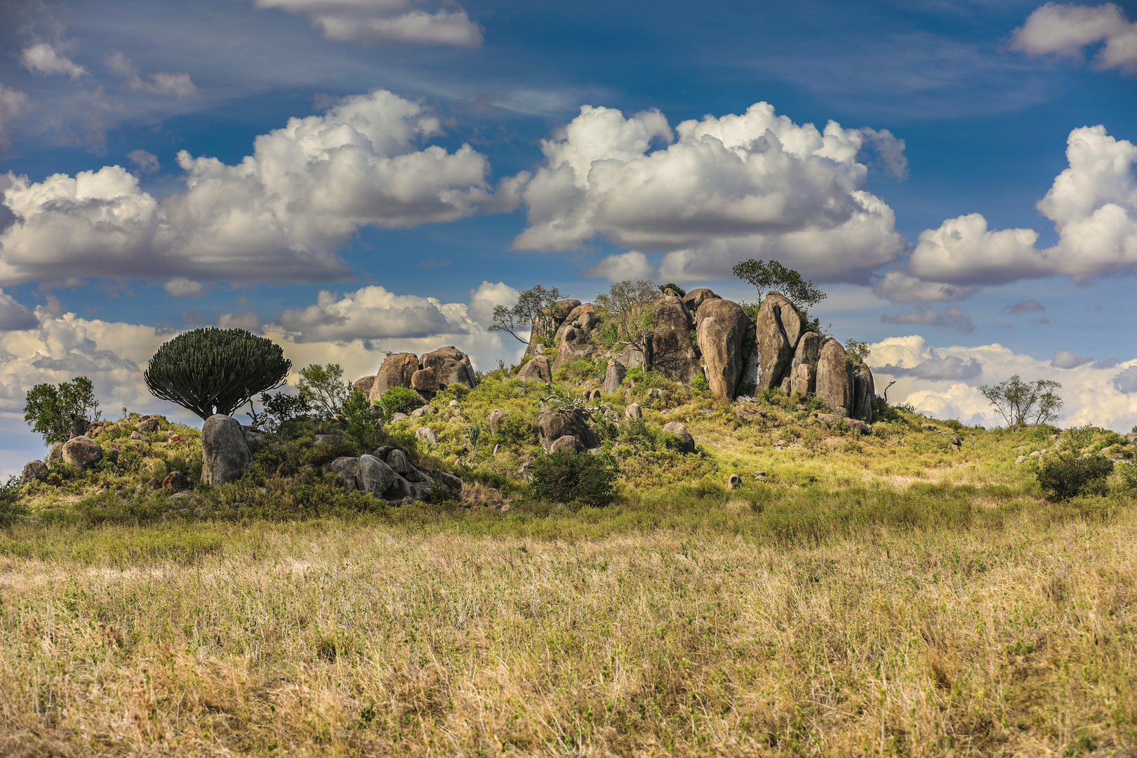 Felseninsel in der Serengeti