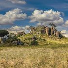 Felseninsel in der Serengeti