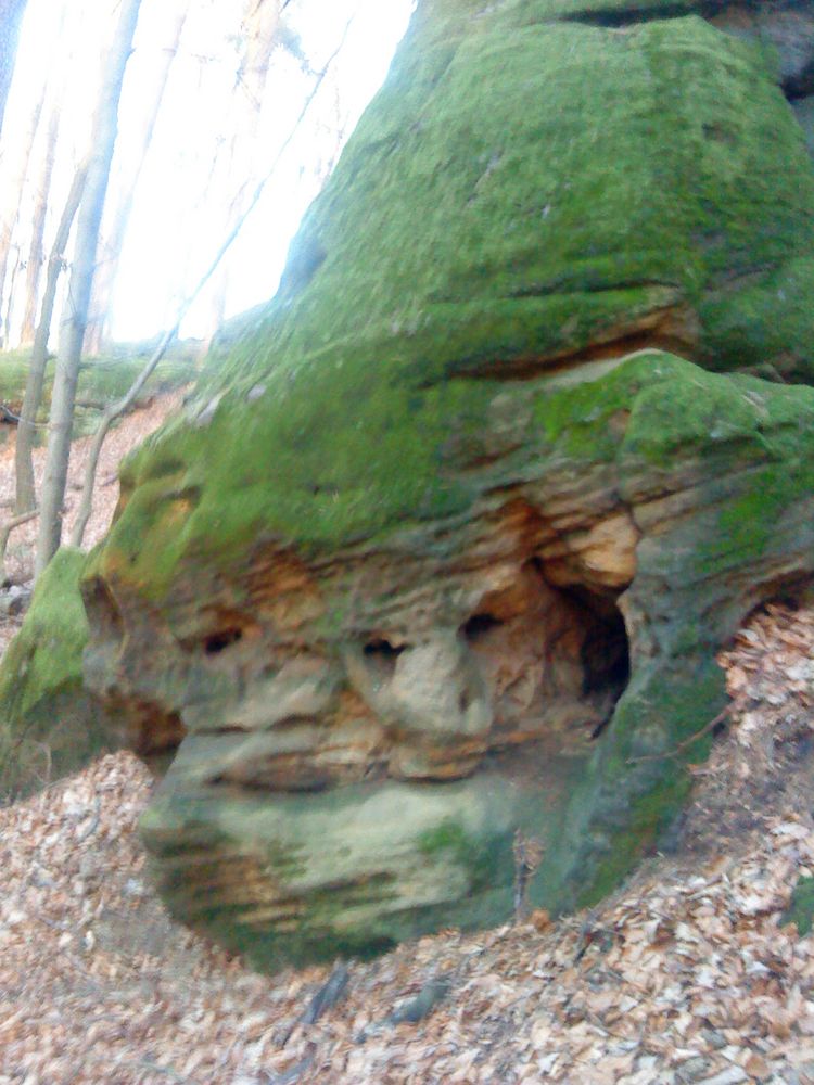 Felsenkeller Ebneth von schmusekatzeisa 