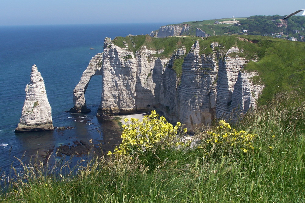 Felsenküste bei Etretat