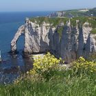 Felsenküste bei Etretat