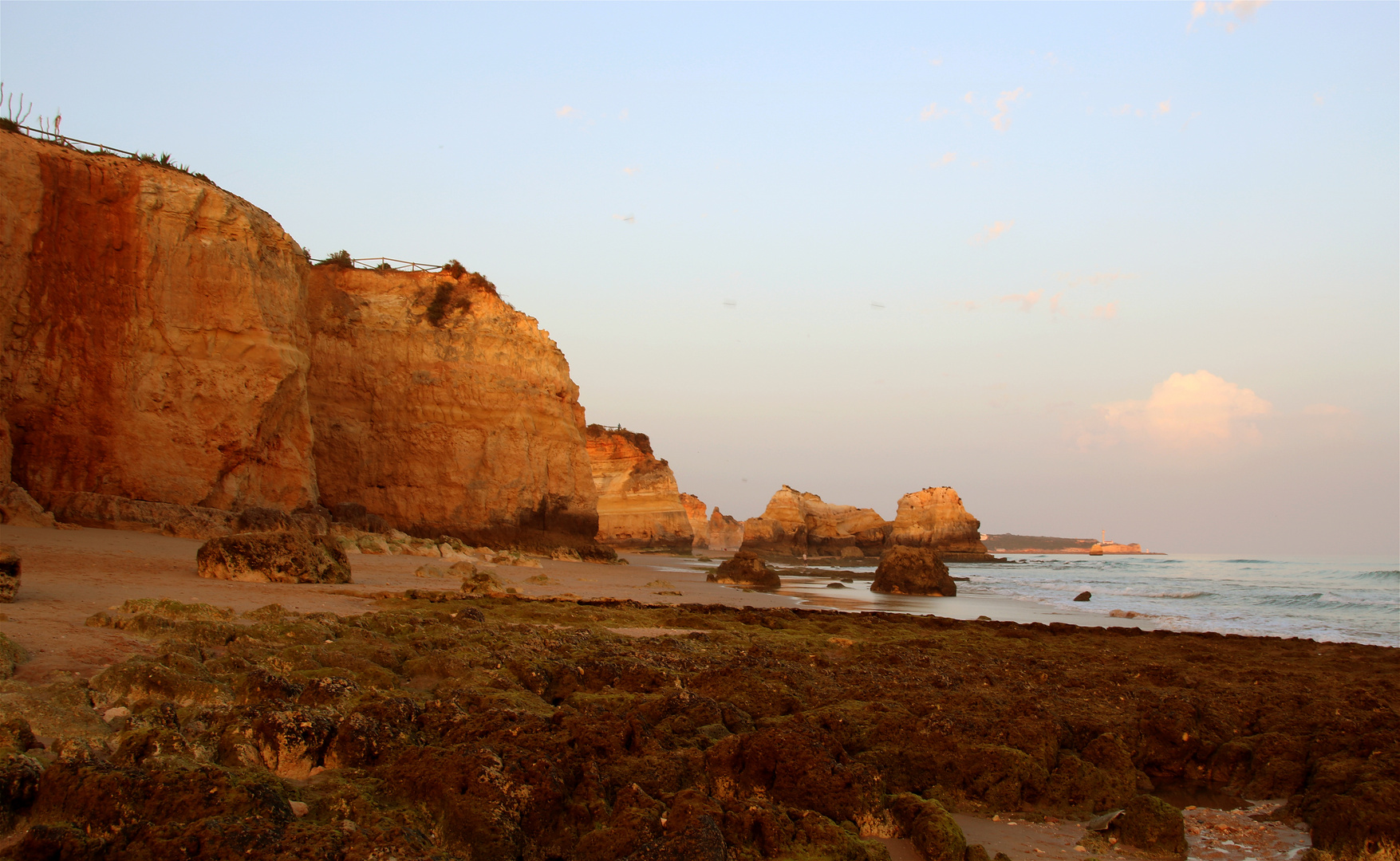 Felsenküste der Algarve bei Sonnenuntergang