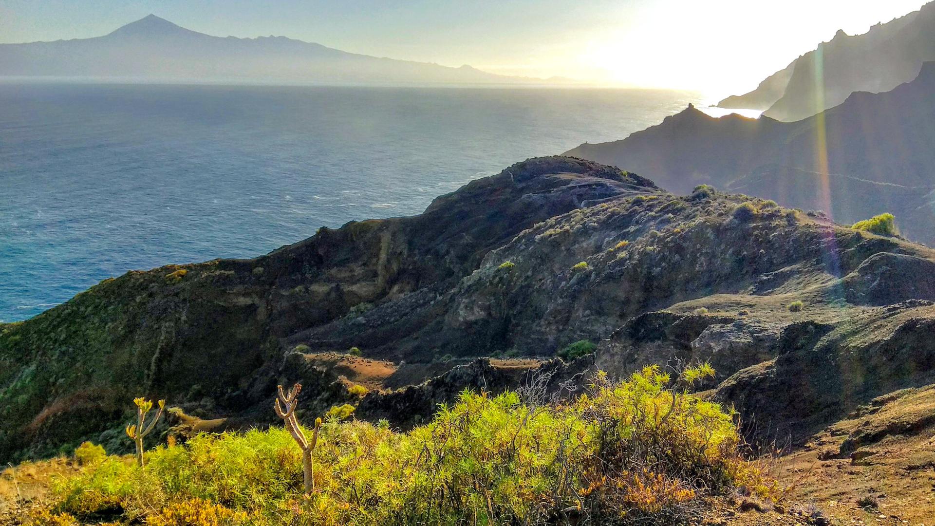 Felsenküste oberhalb Hermigua - La Gomera