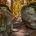 Felsenlabyrinth im Fichtelgebige 