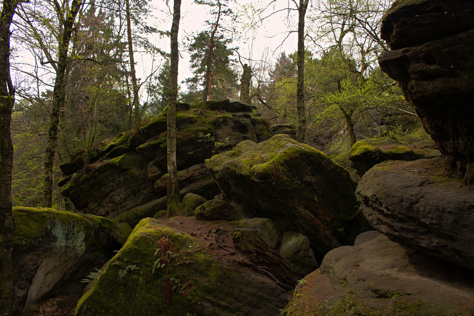 Felsenlabyrinth Langenhennersdorf