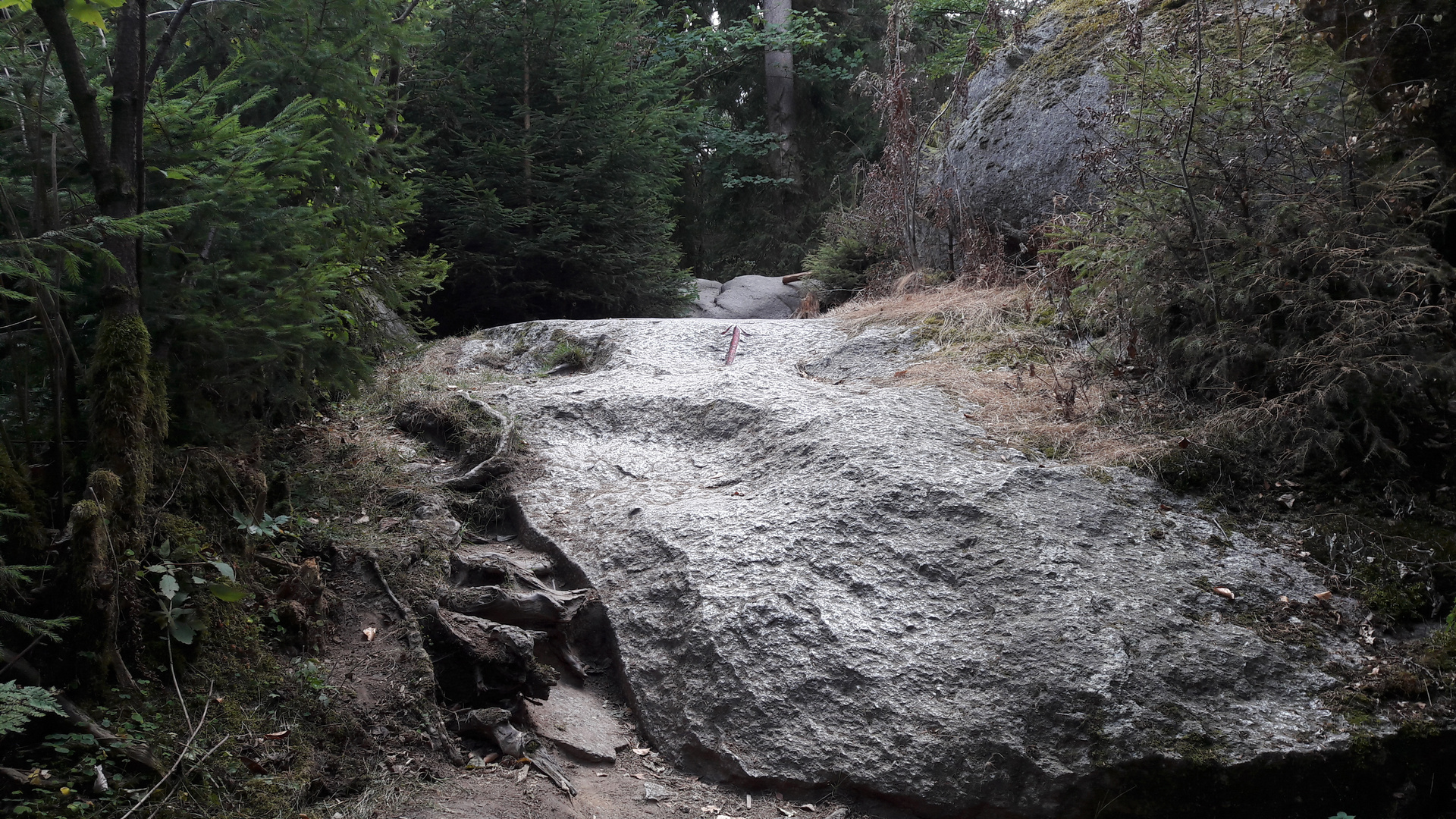 Felsenlabyrinth Luisenburg : Granitbuckelpiste