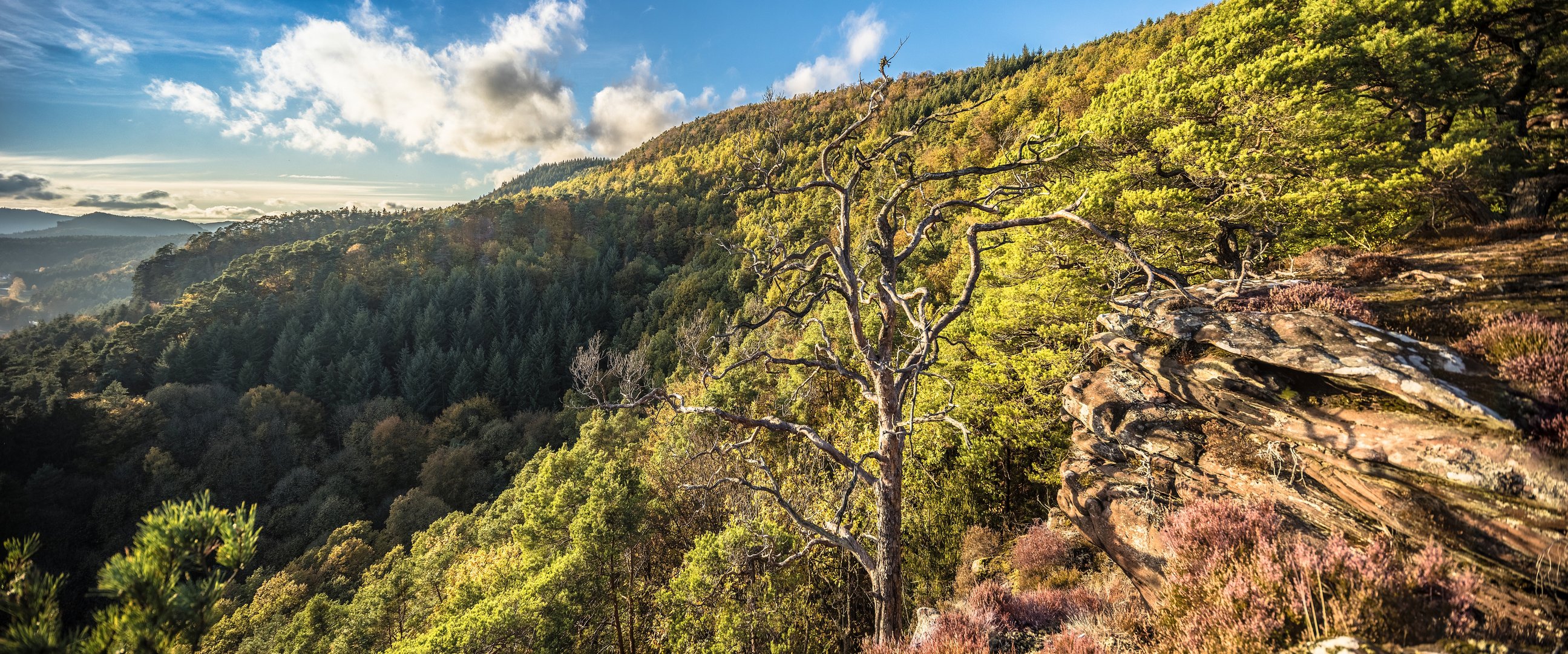 Felsenland im Herbst