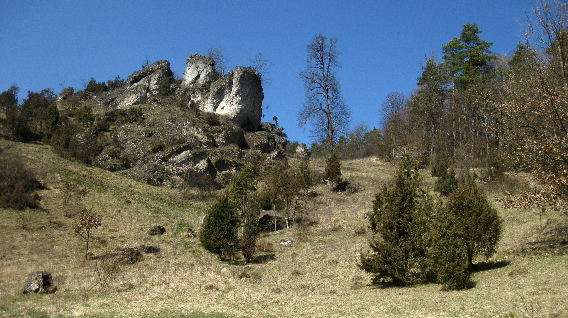 Felsenlandschaft im Ailsbachtal