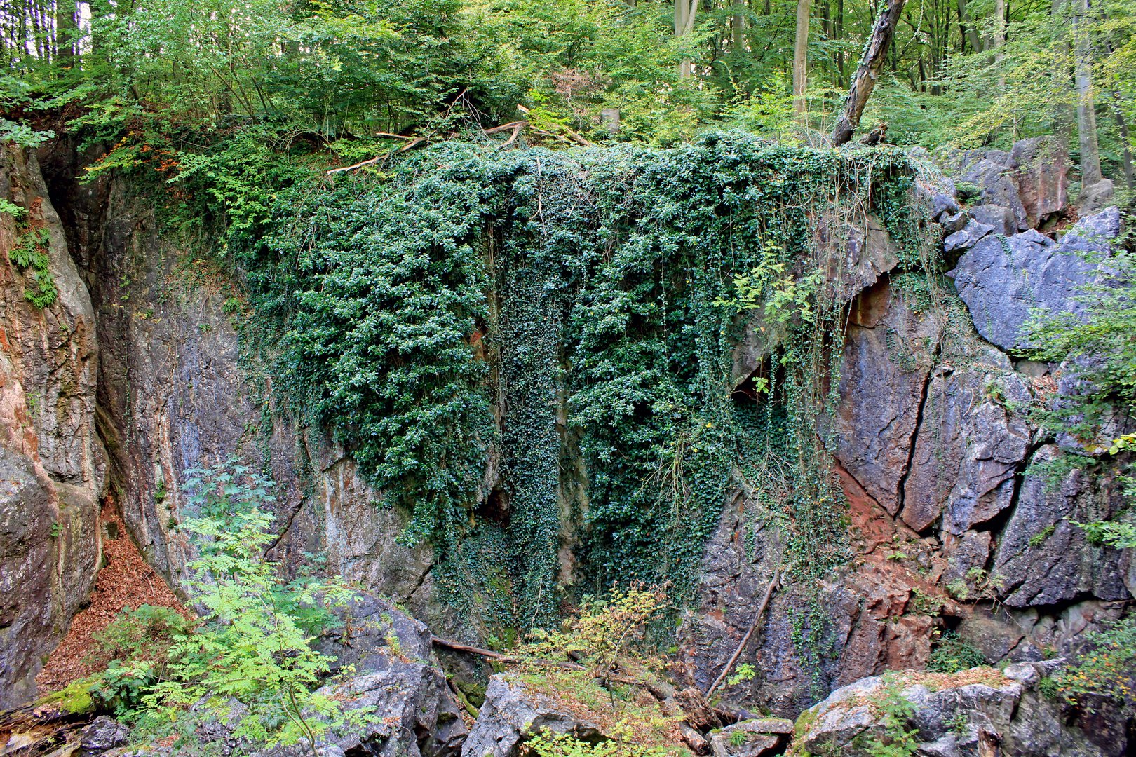 Felsenmeer bei Hemer 24