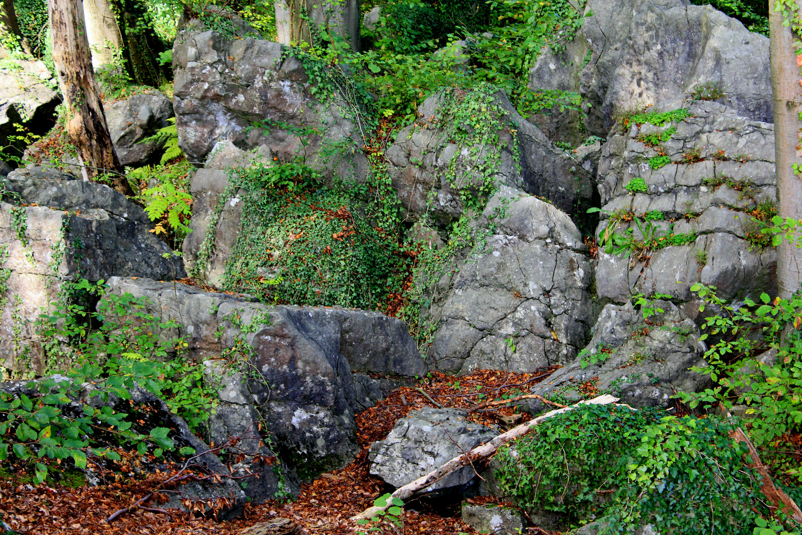 Felsenmeer bei Hemer 7