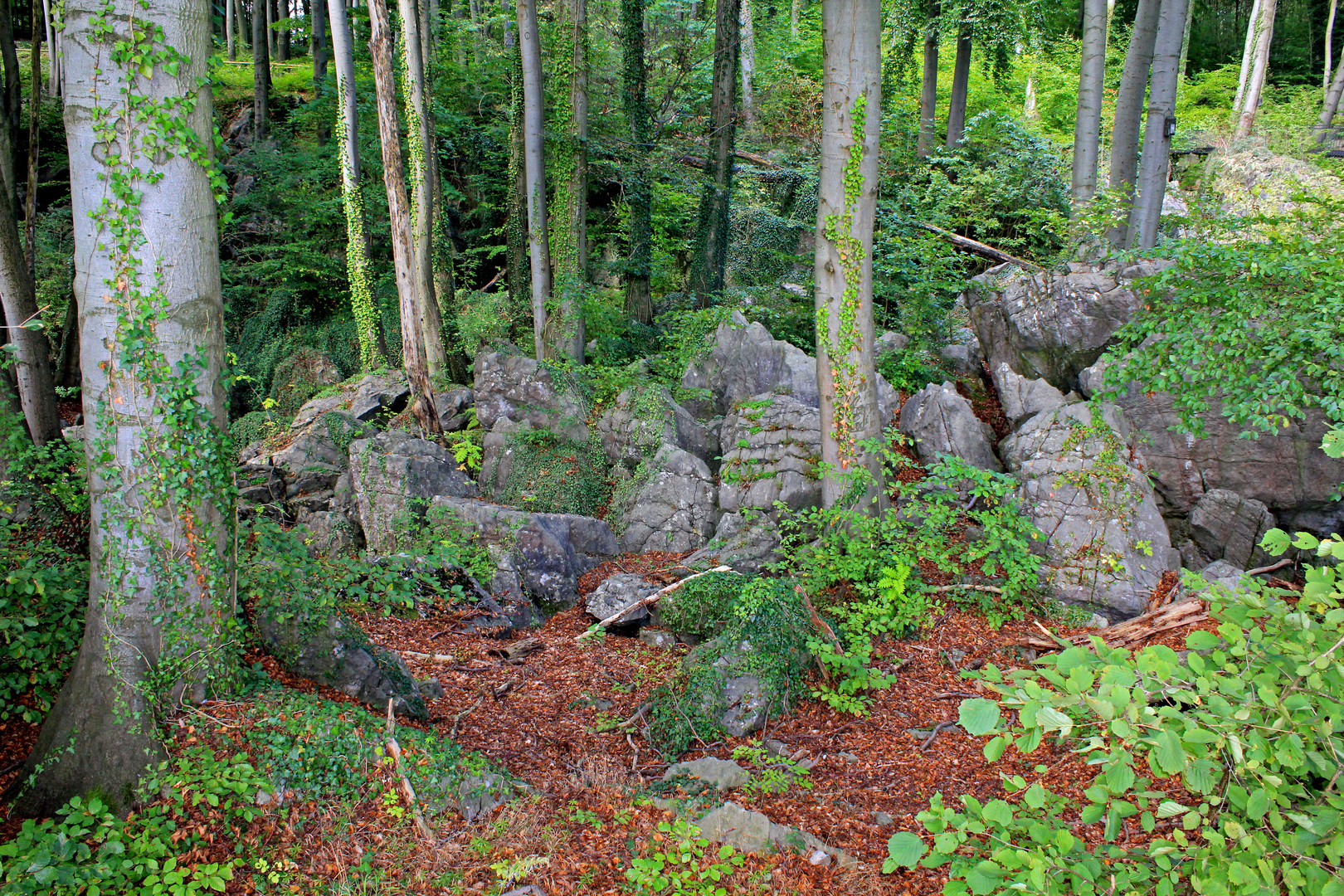 Felsenmeer bei Hemer 8