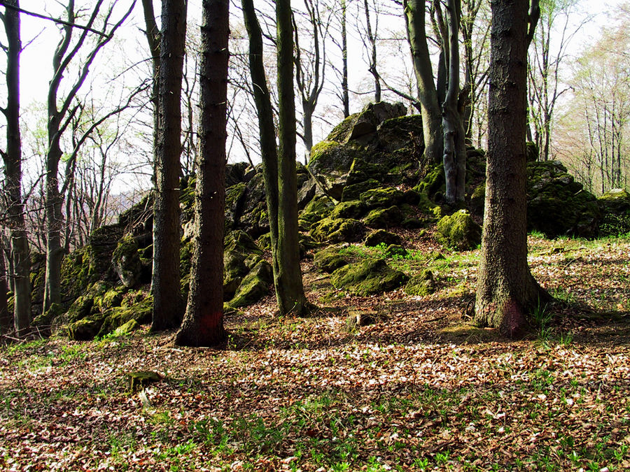 Felsenmeer bei Nettersheim