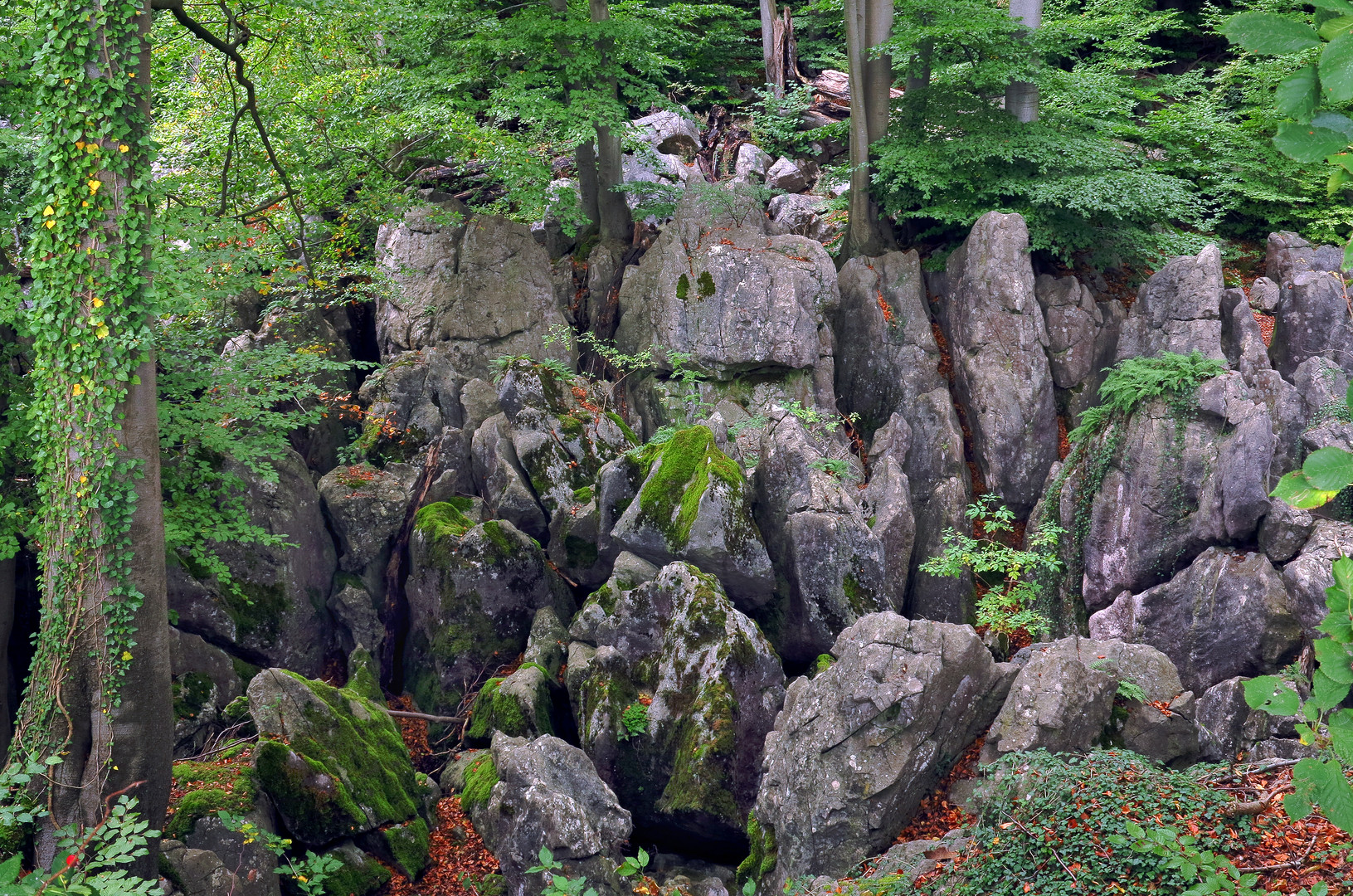 Felsenmeer, Geotop bei Hemer