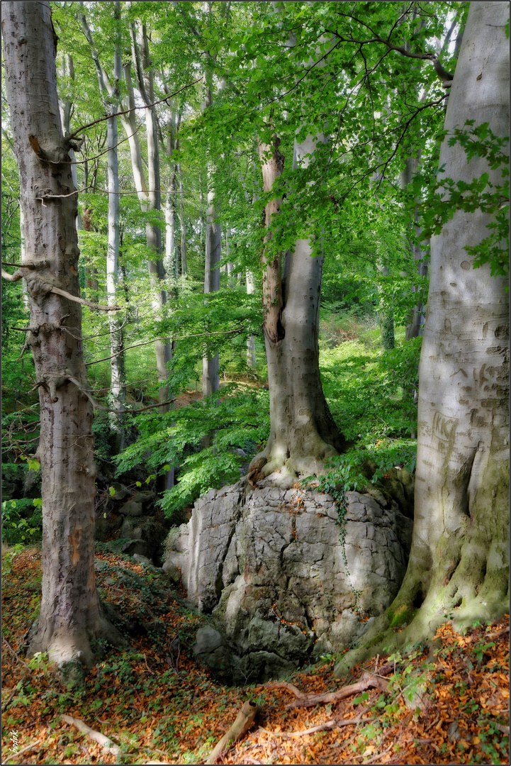 Felsenmeer Hemer