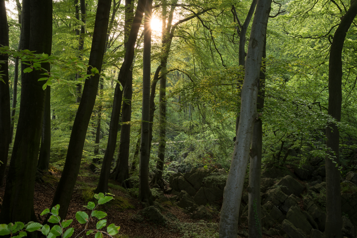 Felsenmeer Hemer