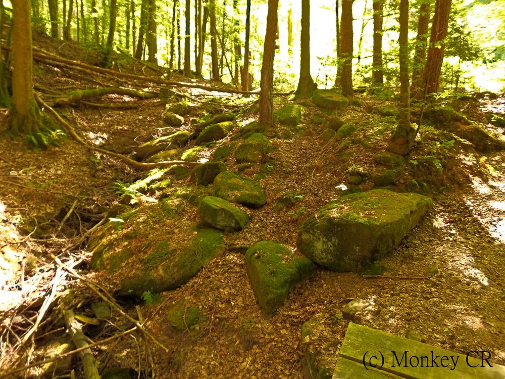 Felsenmeer im Wald (Dammbach - Geisshöhe)