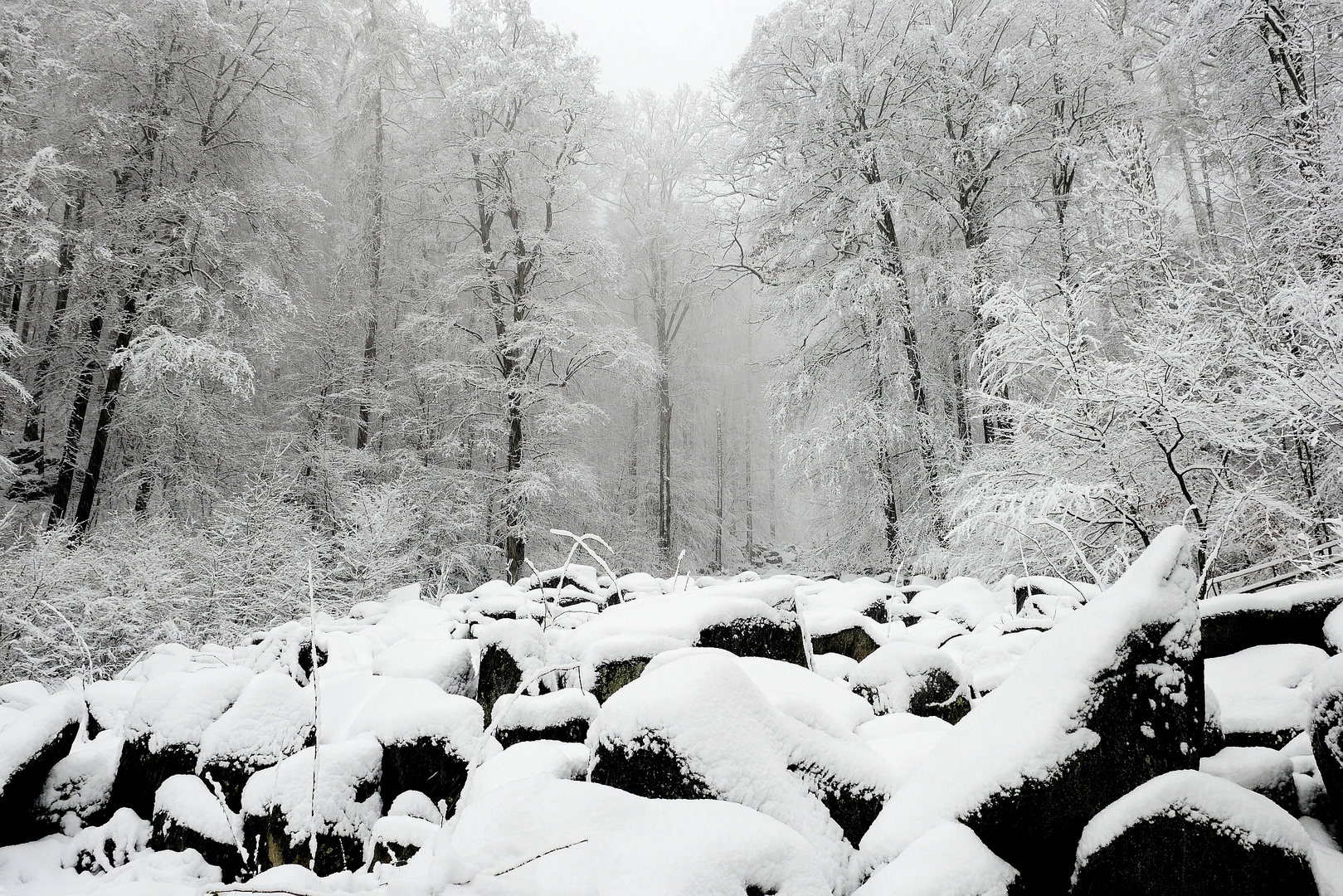 Felsenmeer im Winter