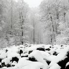 Felsenmeer im Winter