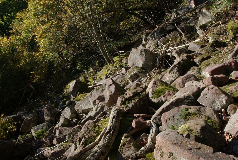 Felsenmeer Jägerfelsen