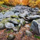 Felsenmeer (Lautertal) | Odenwald