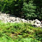 Felsenmeer Lautertal - Reichenbach im Odenwald