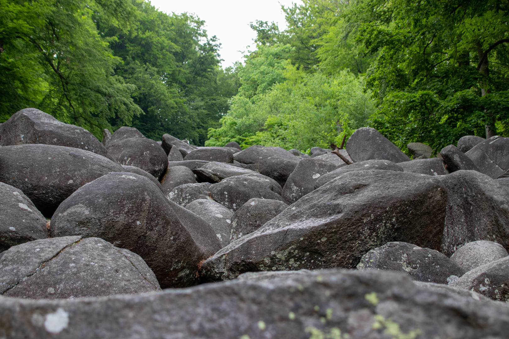 felsenmeer odenwald