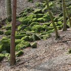 "Felsenmeer" - Reichenbach / Odenwald