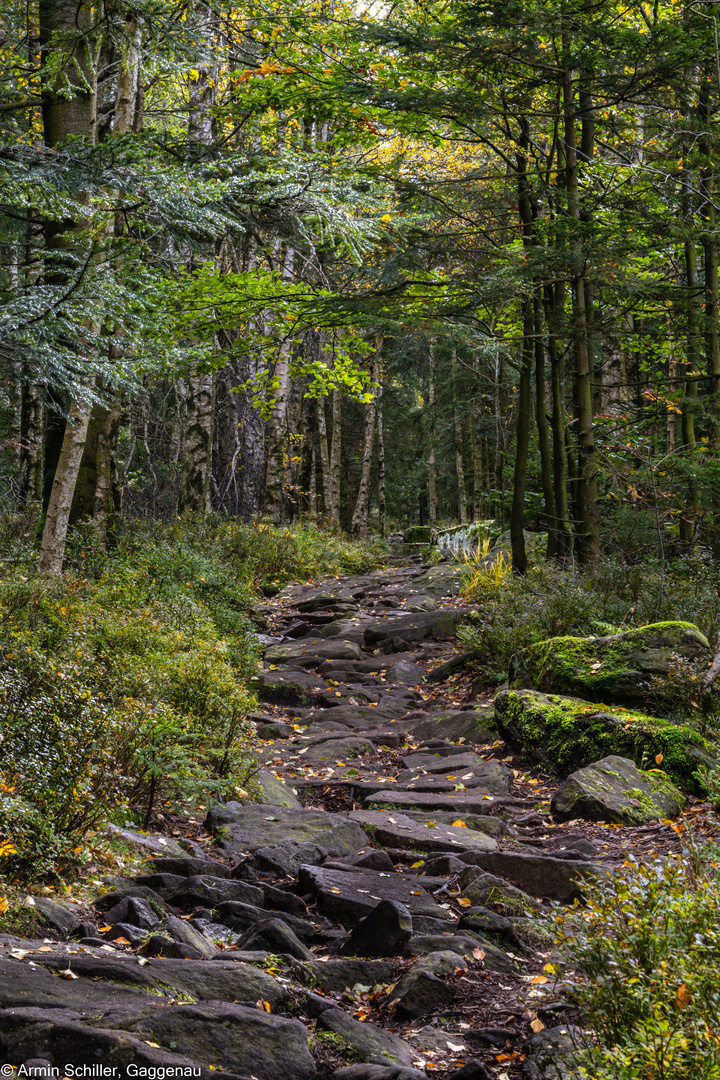 Felsenpfad in den Herbstwald