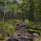 Felsenpfad in den Herbstwald