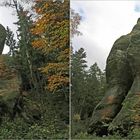  Felsenskulptur - Männerkopf