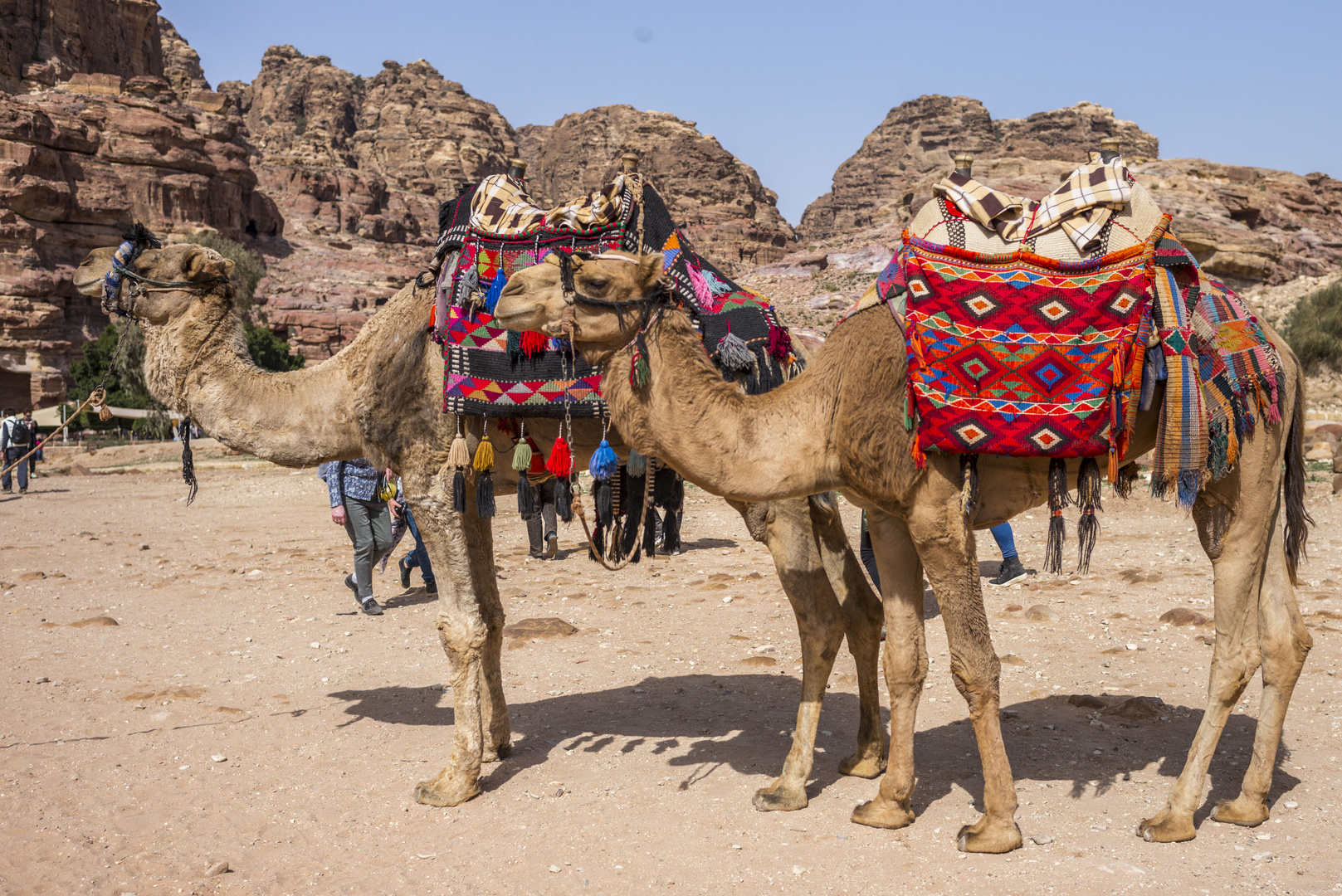 Felsenstadt Petra in Jordanien