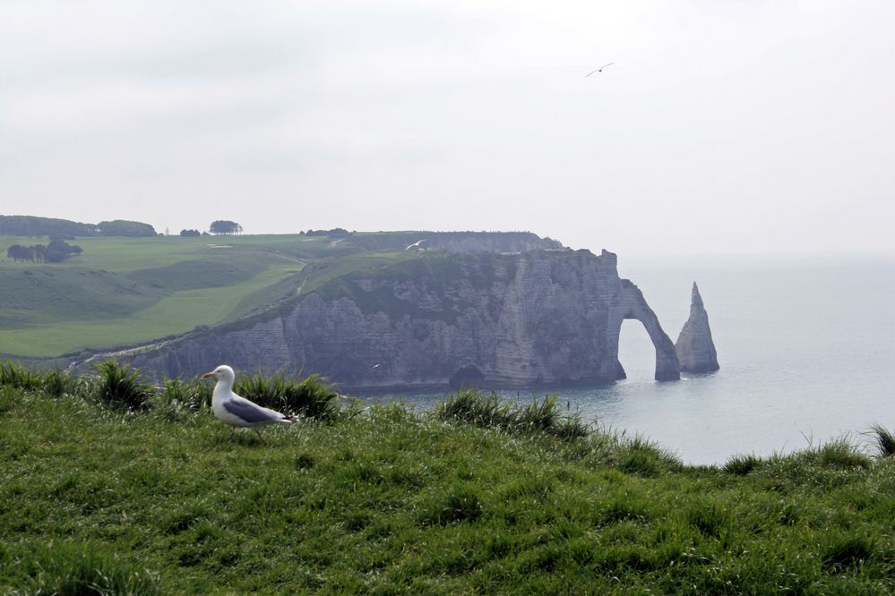 Felsentor von Etretat