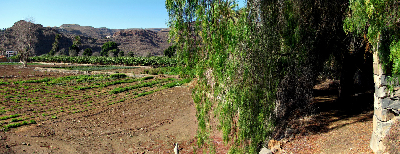 Felsenweg Laguna de Santiago - La Gomera