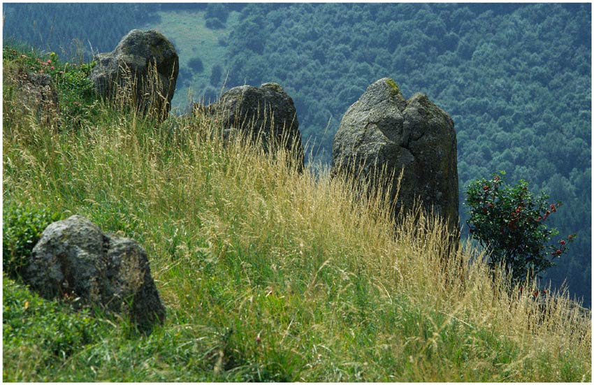 Felsformation am Simmelsberg