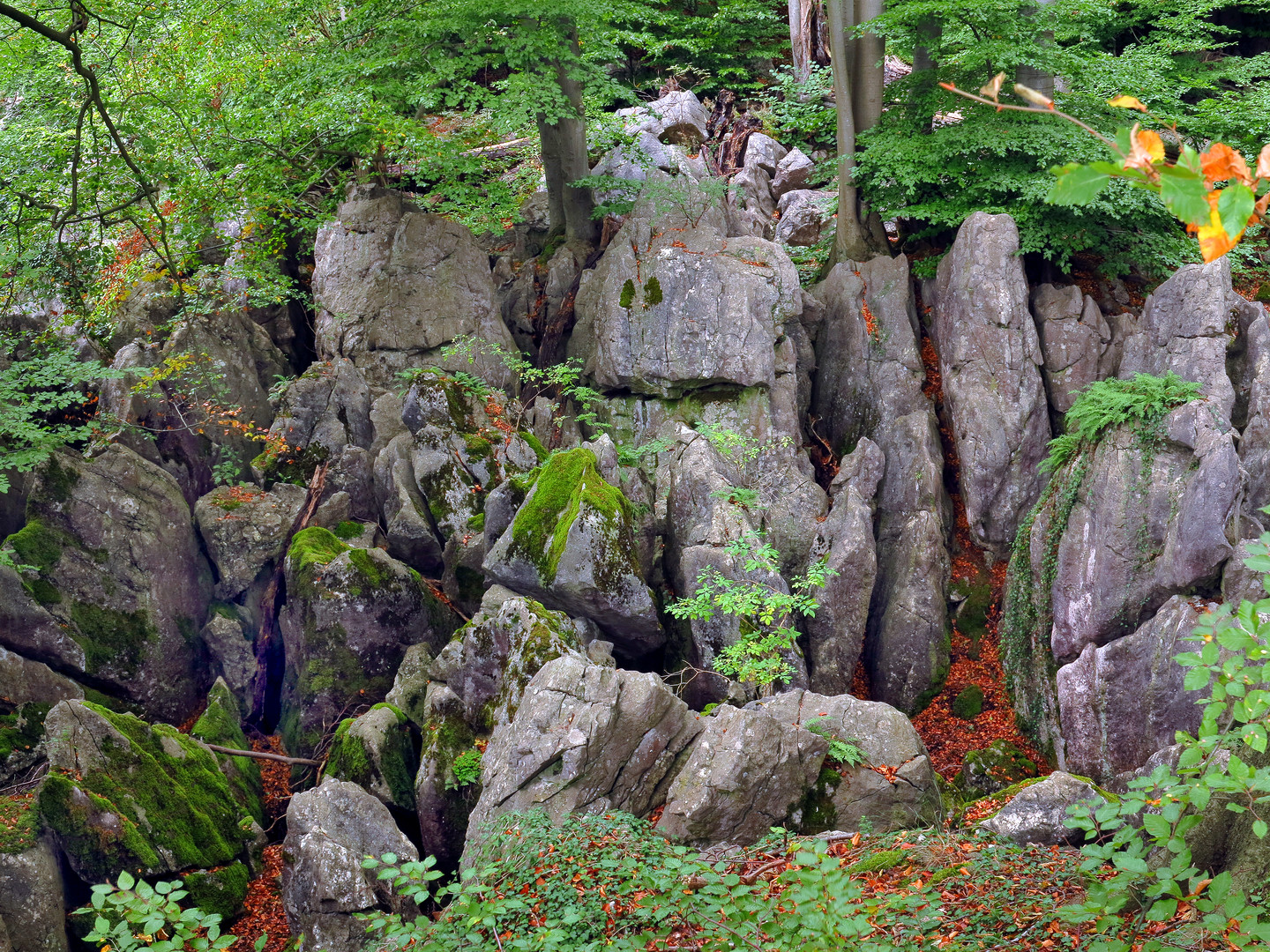 Felsformation im Felsenmeer Hemer