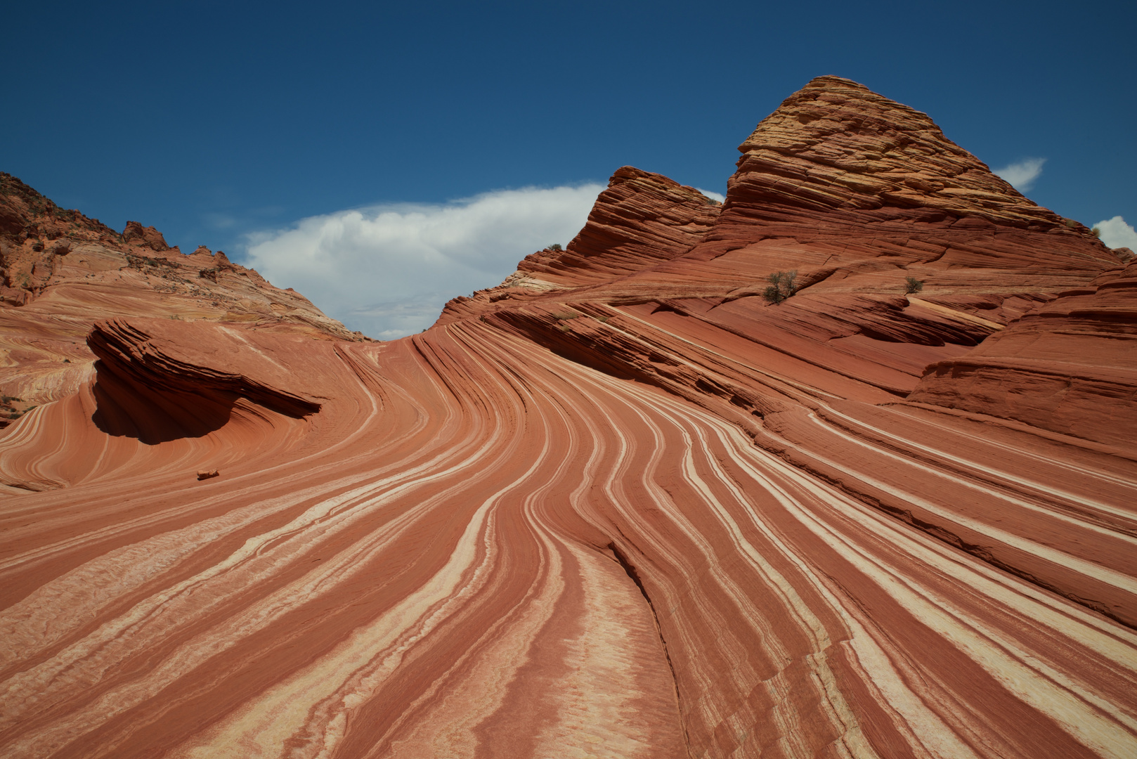 Felsformation in den Coyote Buttes North