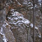 Felsformation schwäbische Alb im Winter