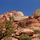 Felsformation (Zion Ntl. Park USA)