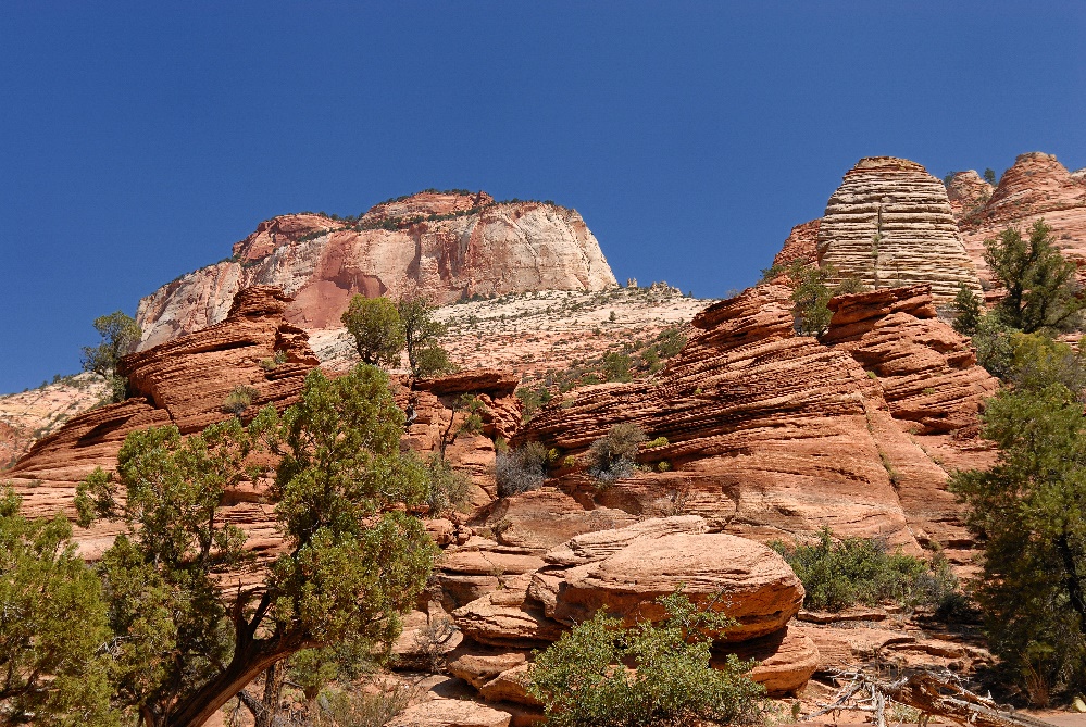 Felsformation (Zion Ntl. Park USA)