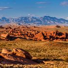 Felsformationen 2, Valley of Fire SP, Nevada, USA