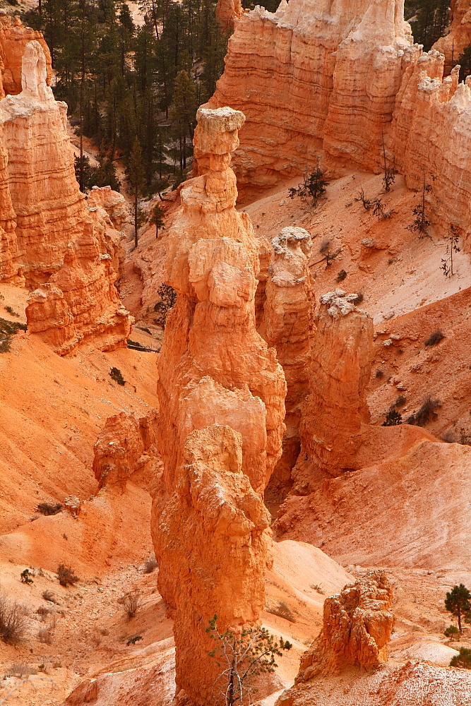 Felsformationen im Bryce Canyon