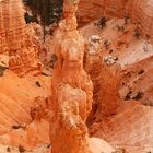 Felsformationen im Bryce Canyon