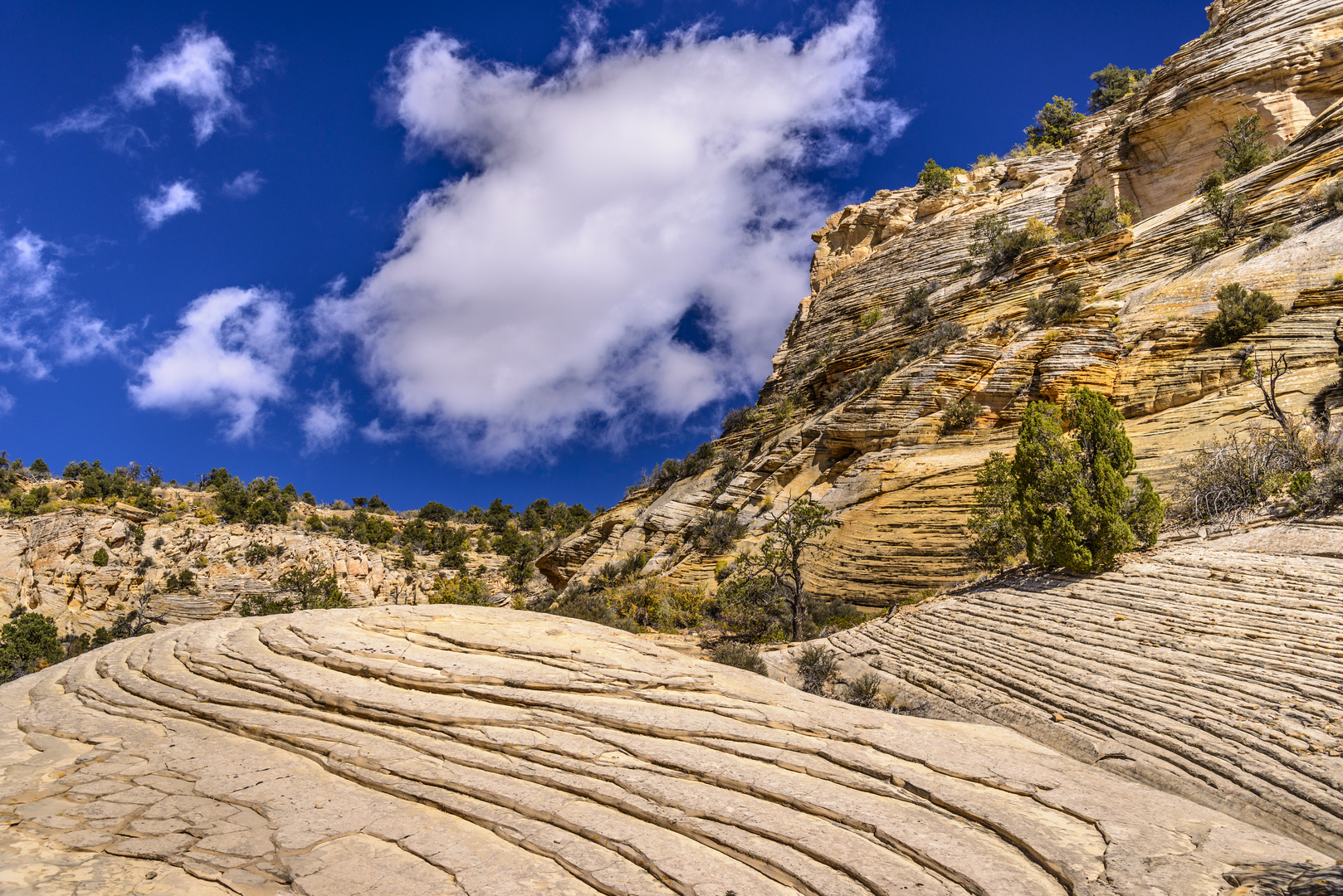 Felsformationen im Johnson Canyon, Kanab, Utah, USA