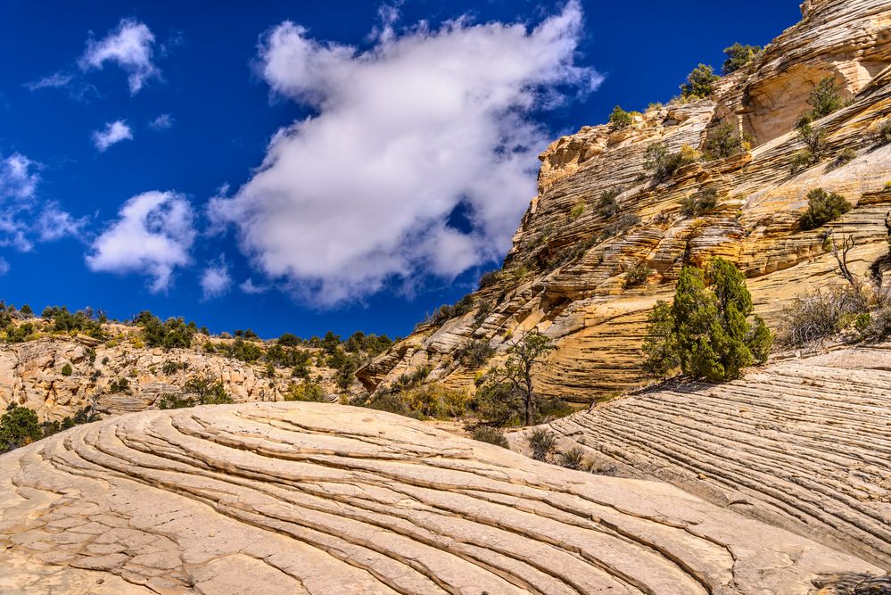 Felsformationen im Johnson Canyon, Kanab, Utah, USA