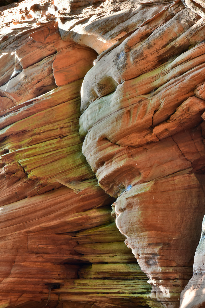 Felsgesicht bei den Altschlossfelsen