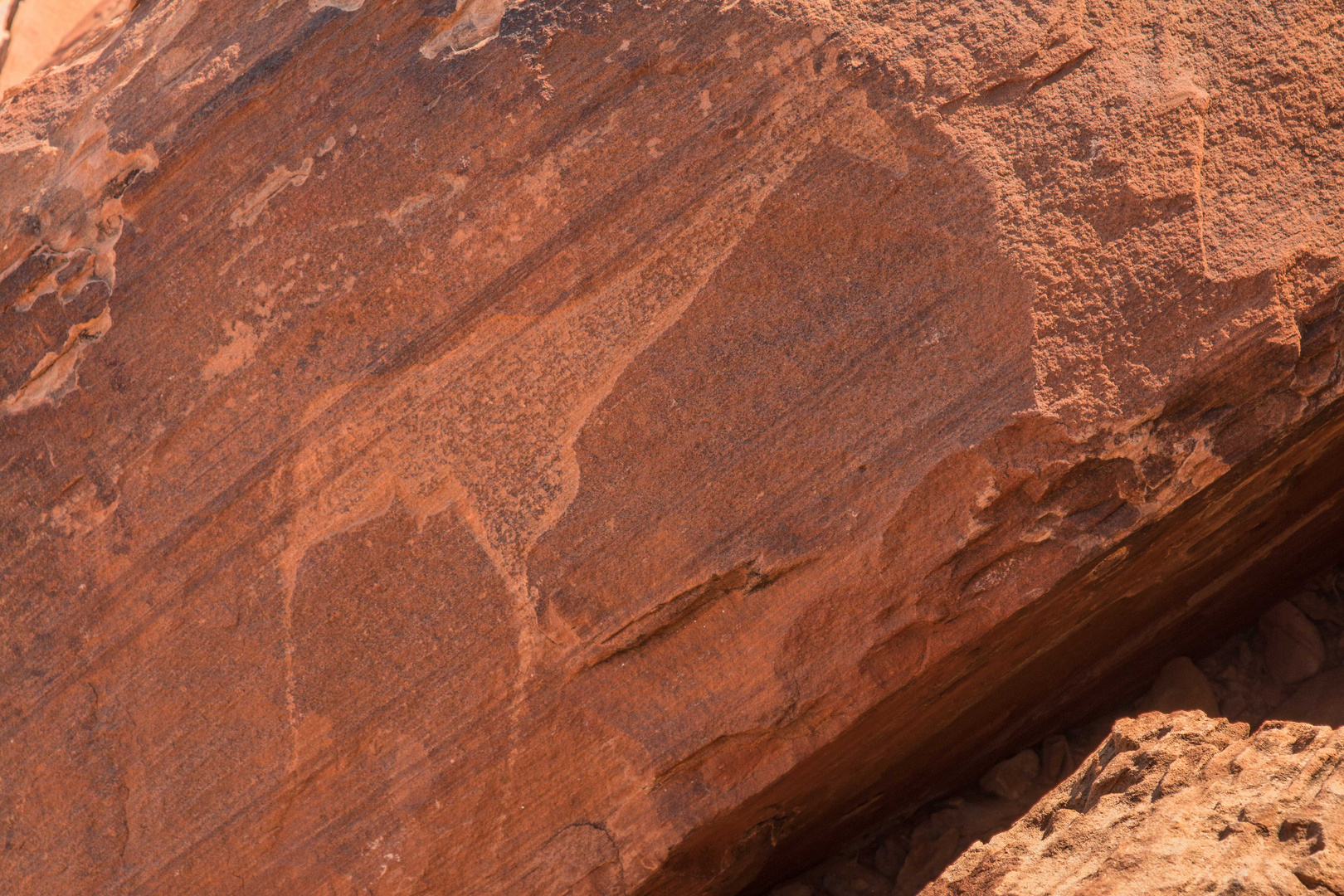 Felsgravur bei Twyfelfontein