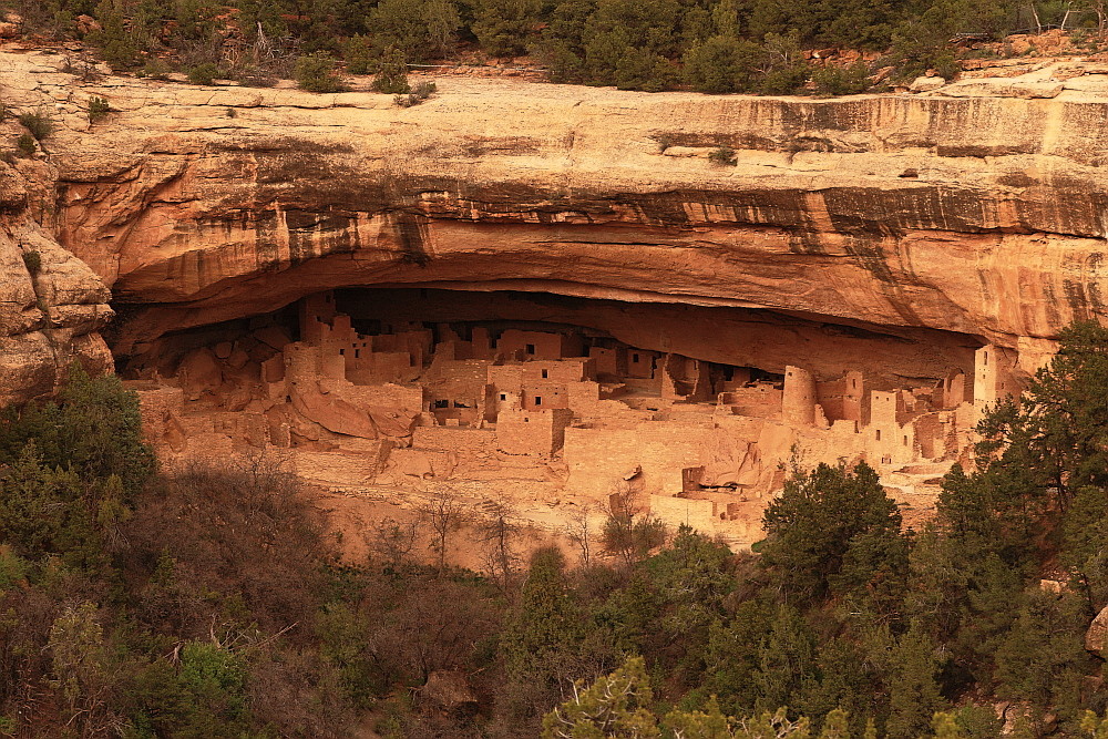 Felshöhlenschloss - Cliff Palace